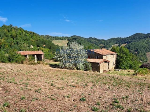 Villetta indipendente in vendita di 368 m²