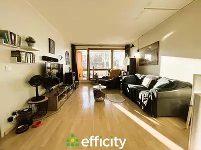 Villeurbanne 69100 Achat / Vente appartement 3 pièces t3 terrasse cave