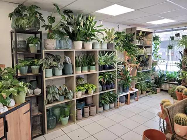 Villeurbanne 69100 Achat / Vente divers