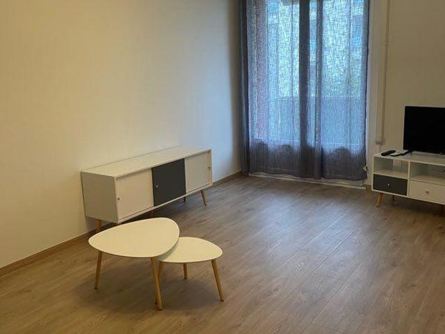 Villeurbanne Location Appartement 69