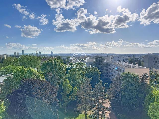 Villeurbanne Vente Appartement 69