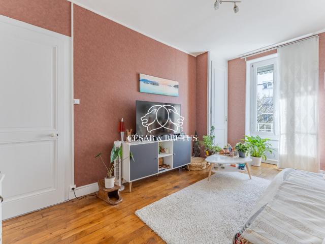 Villeurbanne Vente Appartement 69