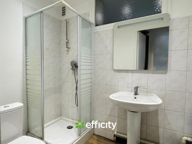 Villeurbanne Vente Appartement 69