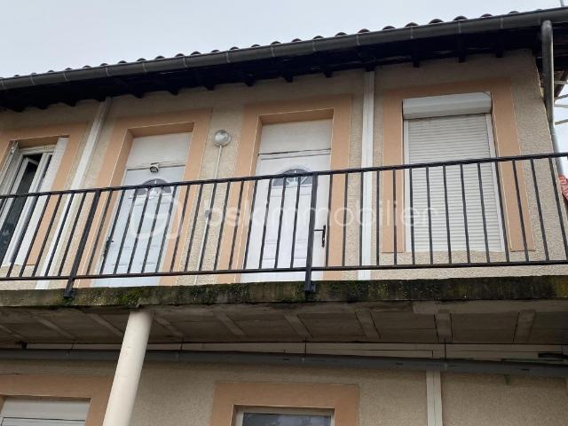 Villeurbanne Vente Appartement 69