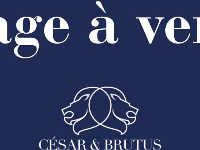 Villeurbanne Vente Parking / Garage 69
