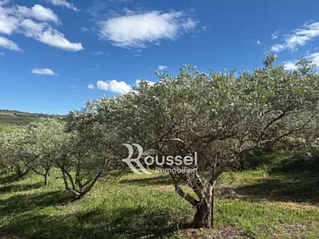 Villeveyrac 34560 Achat / Vente terrain