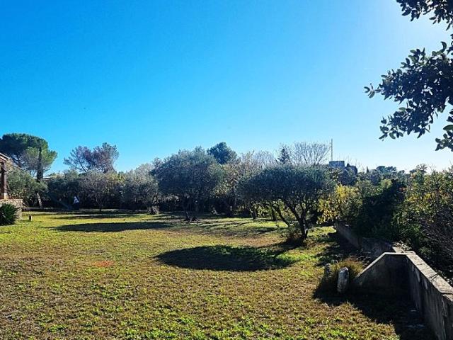 Villevieille Vente Terrain 30