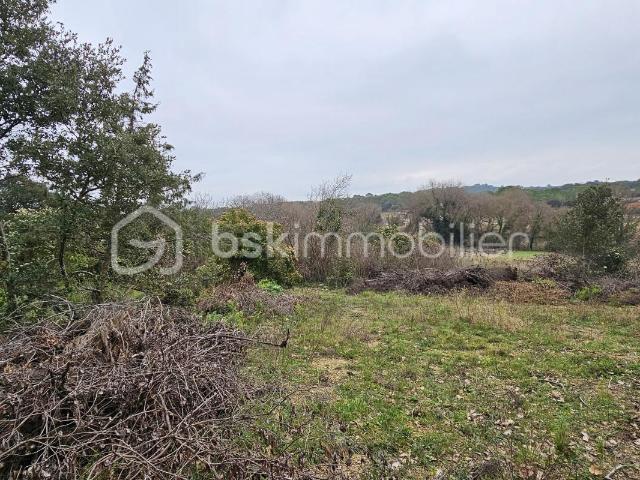 Villevieille Vente Terrain 30