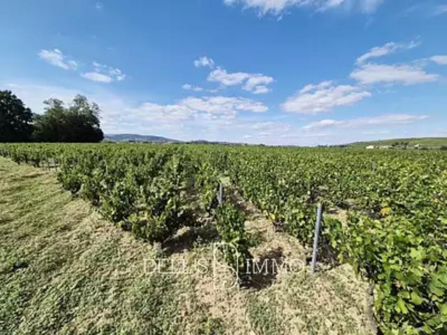 Villié Morgon 69910 Achat / Vente terrain