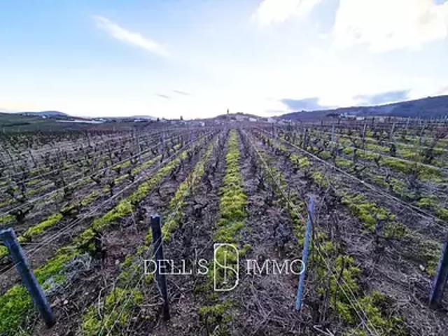 Villié Morgon 69910 Achat / Vente terrain
