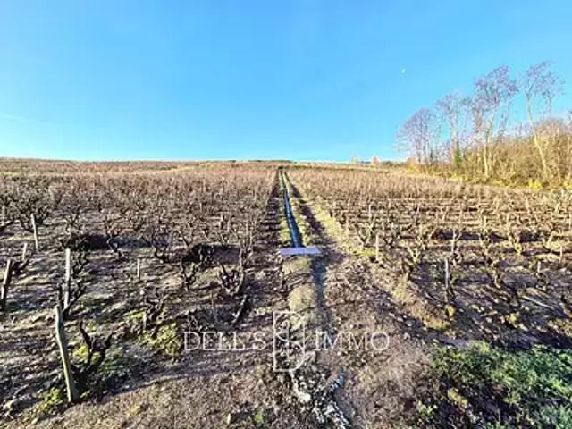 Villié Morgon 69910 Achat / Vente terrain