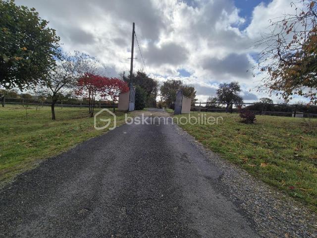 Villiers au Bouin Vente Maison 37