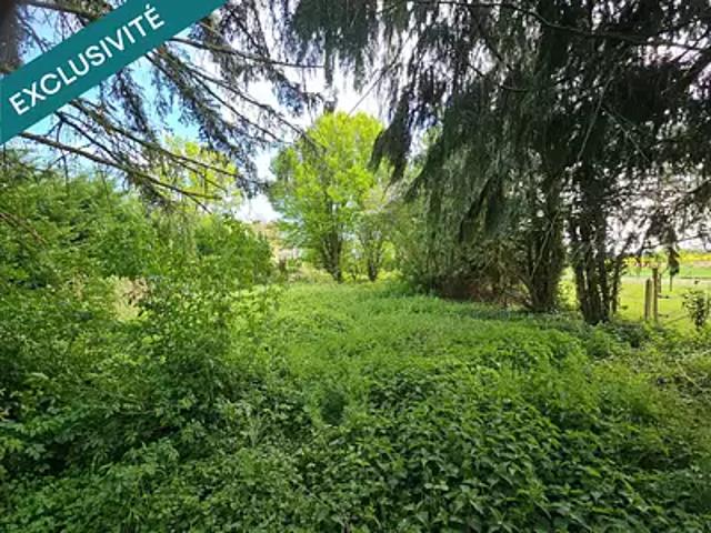 Villiers Saint Georges 77560 Achat / Vente terrain