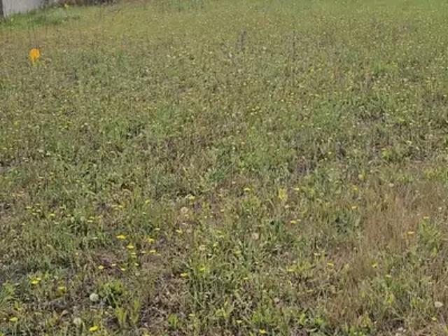 Villiers sur Marne 94350 Programme neuf terrain neuf à vendre