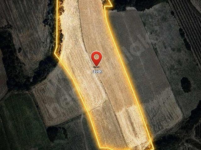 VIP GAYRİMENKUL ÇANDIR KÖYÜ SATILIK 10.300 M2 TARLA