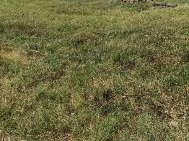 VIP location Corner Plot For Sale in E 11/1 Islamabad E 11 ID 26459