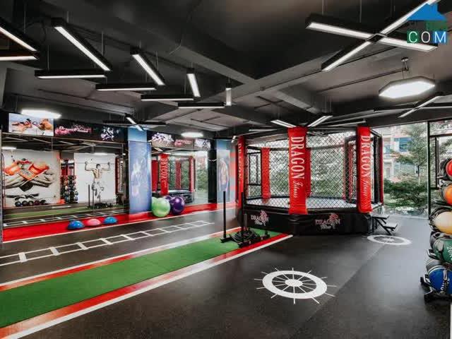 Vip Mặt Phố Thanh Nhàn – Hai Bà Trưng Vỉa Hè Rộng Kinh Doanh Đắc Địa Thang Máy 131M2 X 5 Tầng