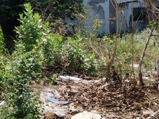 Viram Khand 4000 Sq.Ft. Plot in Gomti Nagar Lucknow Listing ID: #10244