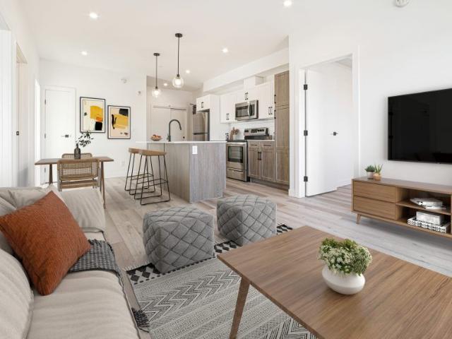 Virginia: Black Accents – 196 Colony, Winnipeg, MB