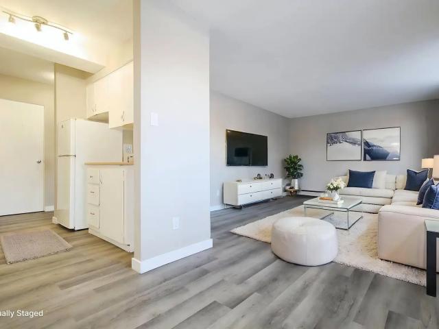 Virgo Apartments