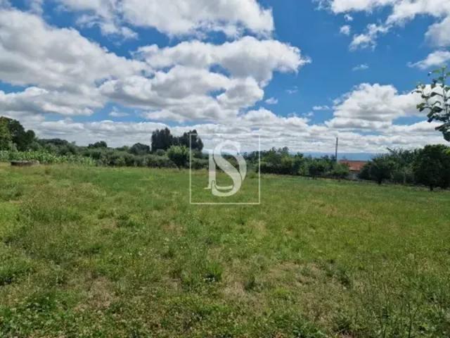 Viseu Tondela 103540930