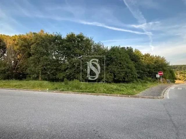 Viseu Tondela 103557008