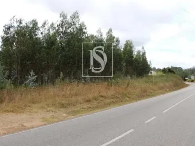 Viseu Tondela 103557618
