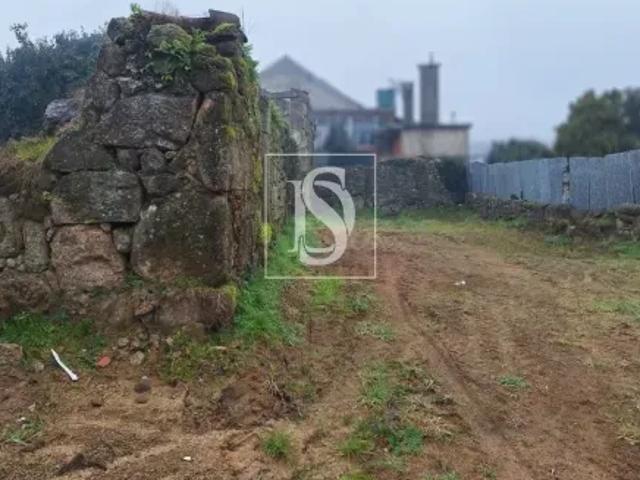 Viseu Tondela 103527991
