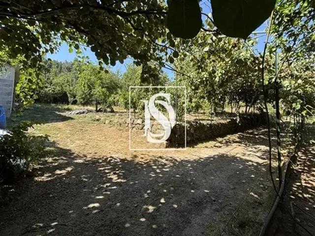 Viseu Tondela 103659297