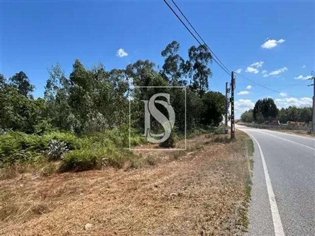Viseu Tondela 104230804