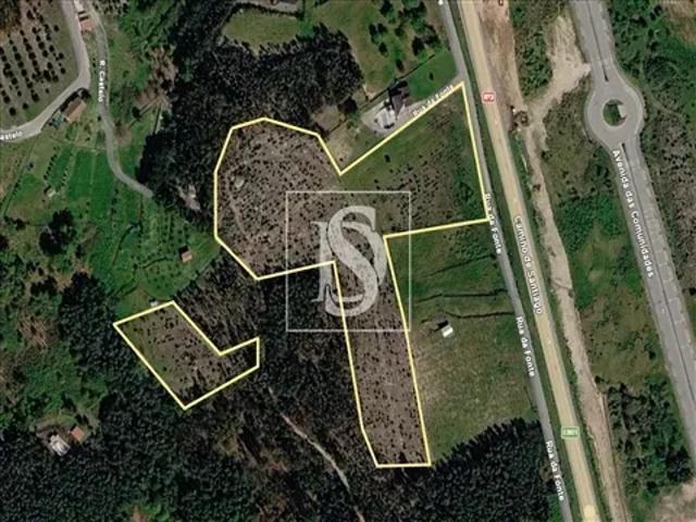 Viseu Tondela 104369542