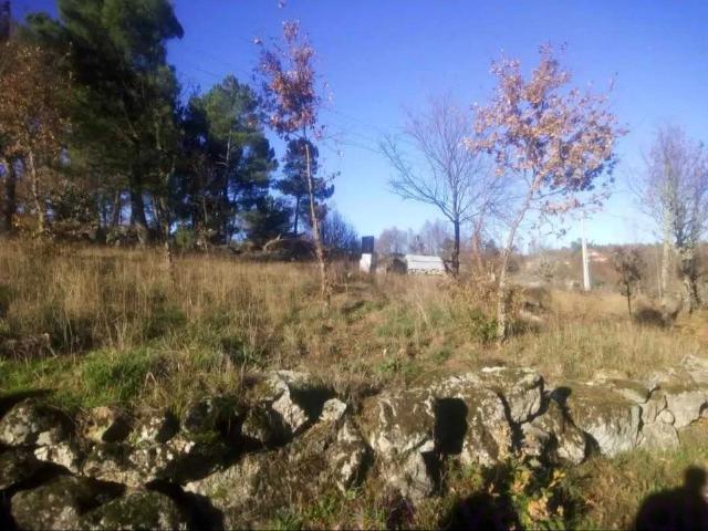 Viseu Vila Nova de Paiva 3650 101469065