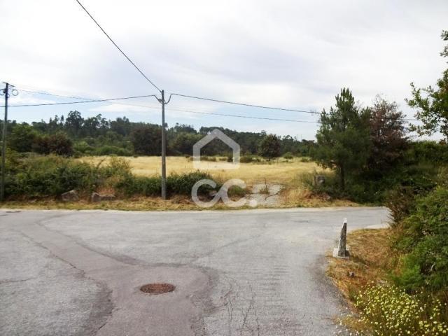 Viseu Viseu 51598270