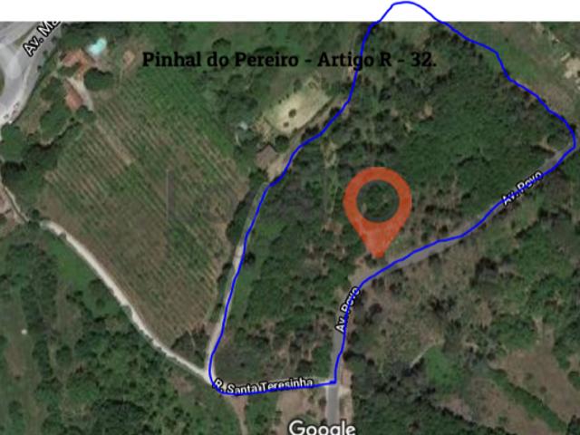 Viseu Viseu 57706738