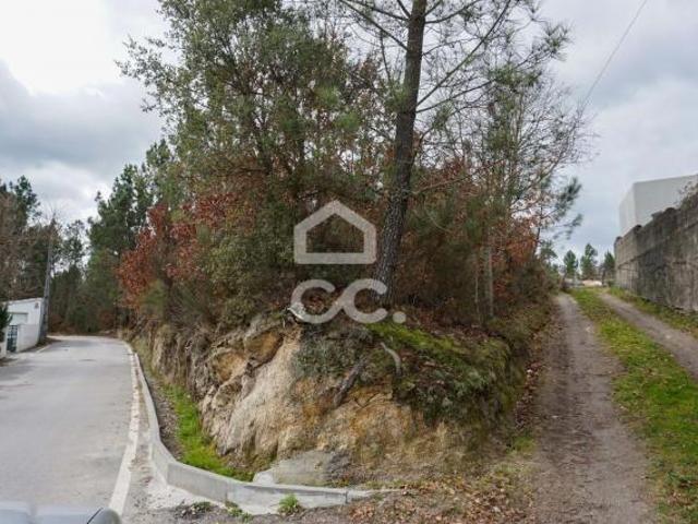 Viseu Viseu 66629594