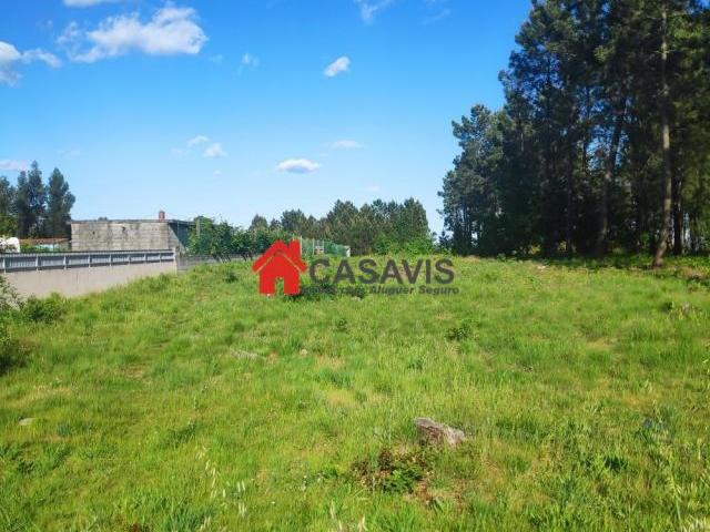Viseu Viseu 77495076