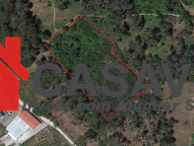 Viseu Viseu 77495087