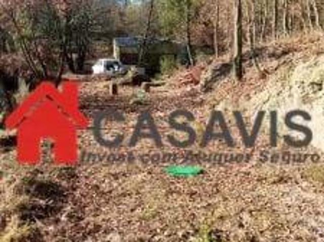 Viseu Viseu 77495107