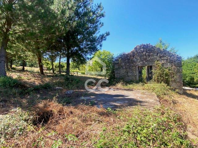 Viseu Viseu 80393720