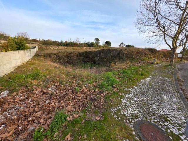 Viseu Viseu 87474820