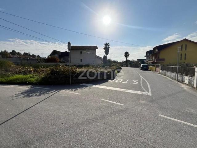 Viseu Viseu 87738729