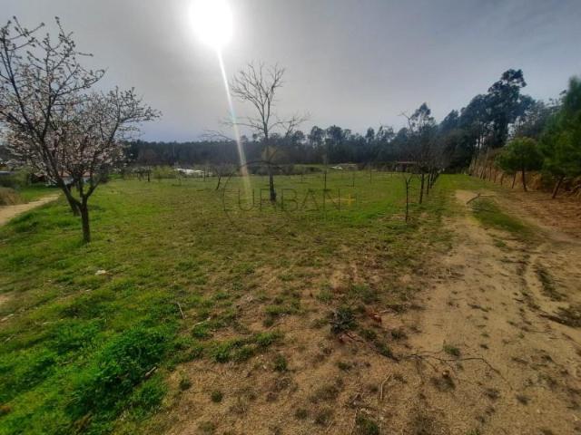 Viseu Viseu 89004012