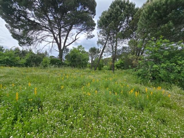 Viseu Viseu 90670790