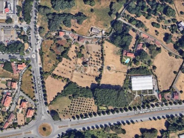 Viseu Viseu 92749417