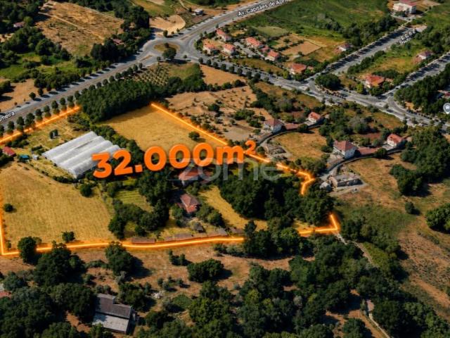 Viseu Viseu 92749425