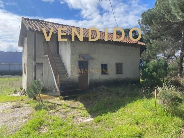 Viseu Viseu 93980781