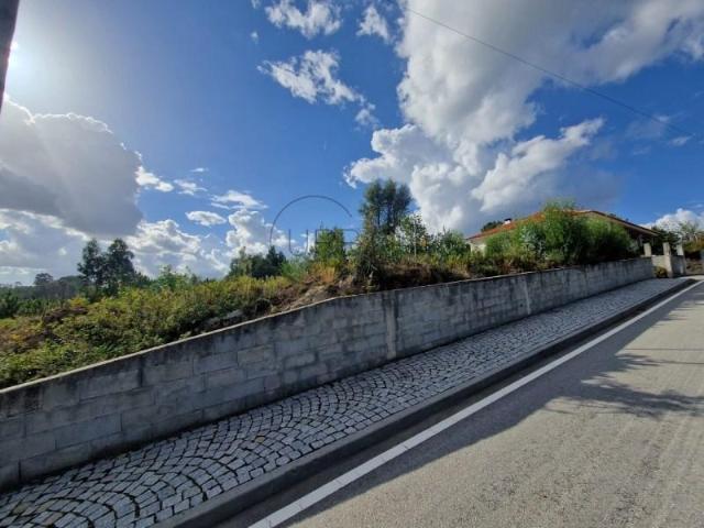 Viseu Viseu 94184652
