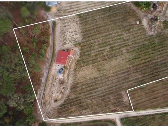 Viseu Viseu 94520673