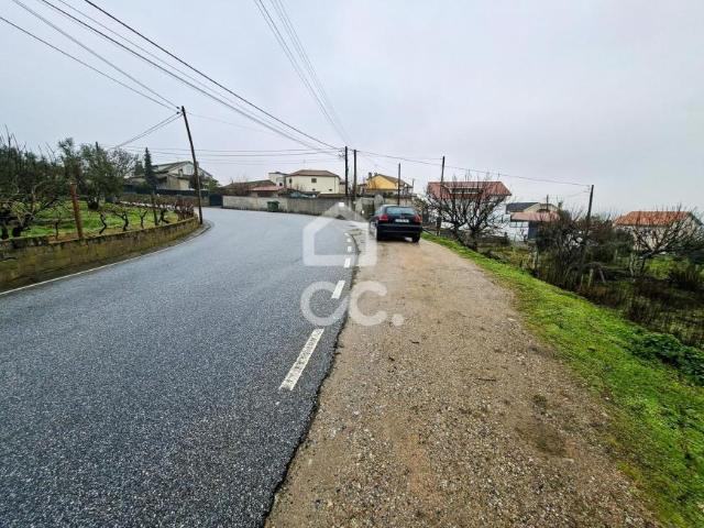 Viseu Viseu 97909508