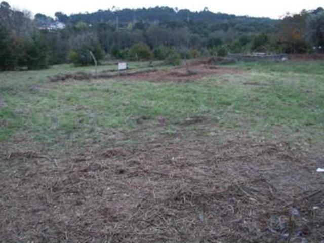 Viseu Viseu 98479086